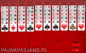 247 Pająk