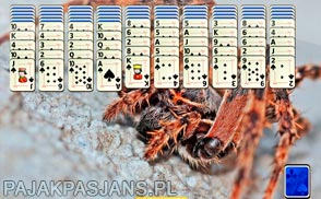 Zrelaksowany